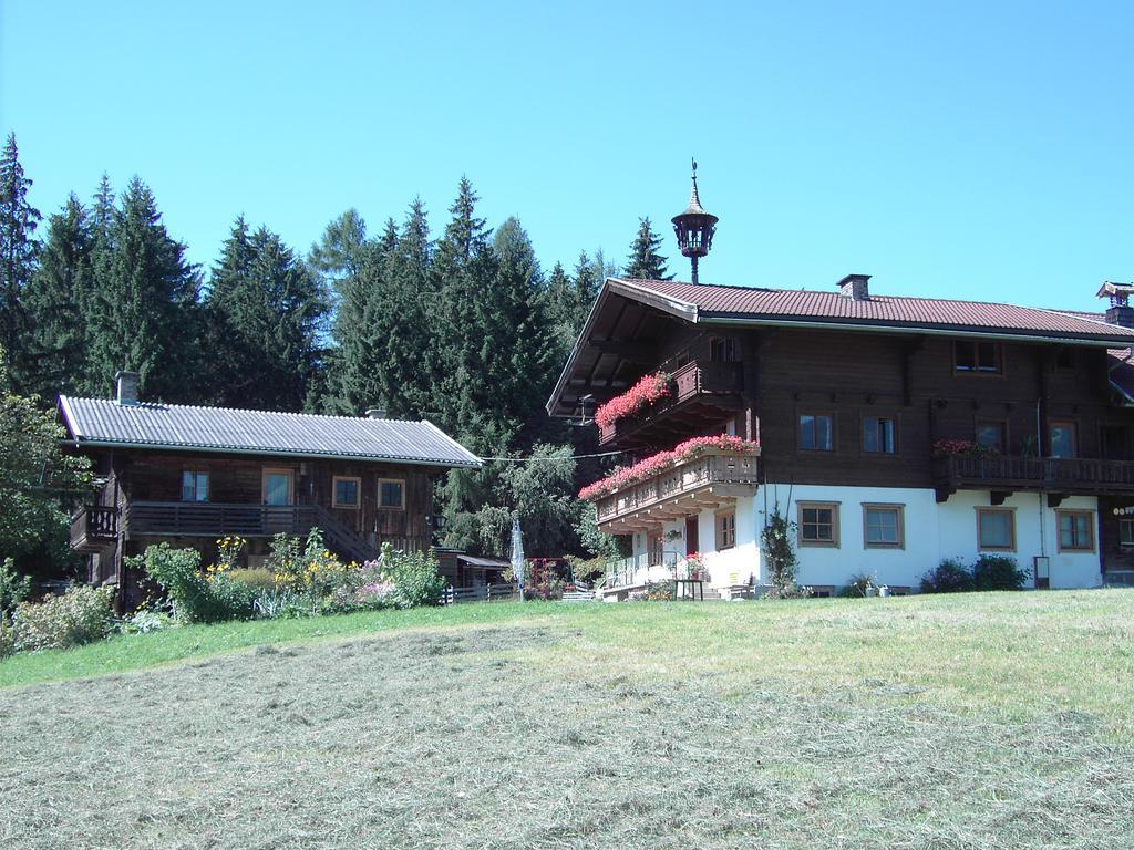 Mitterhaidgut Vila Hollersbach im Pinzgau Exterior foto