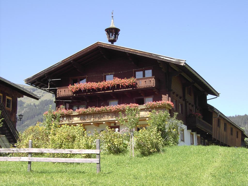 Mitterhaidgut Vila Hollersbach im Pinzgau Exterior foto