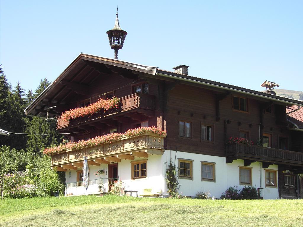 Mitterhaidgut Vila Hollersbach im Pinzgau Exterior foto